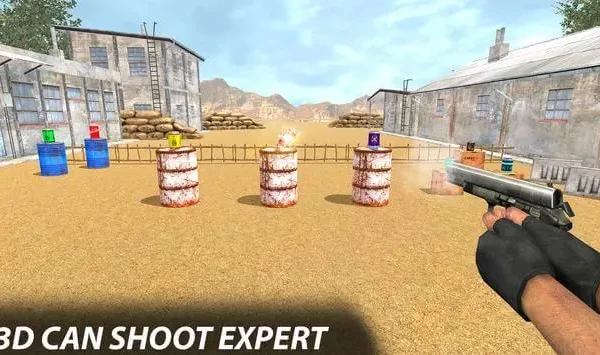 3D Can Shoot Expert